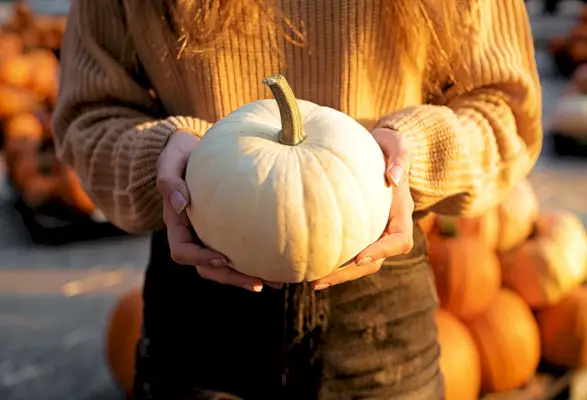 white pumpkin