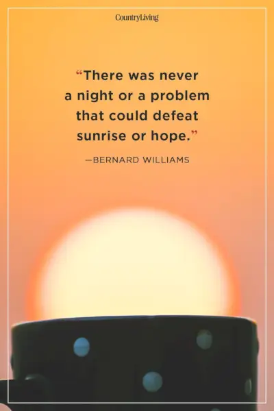 good morning quotes bernard williams