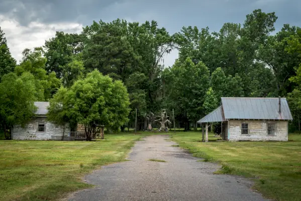 Grass, Plant, Property, Land lot, Tree, Rural area, Real estate, House, Plain, Village, 