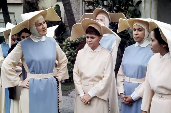Flying Nun 50th anniversary