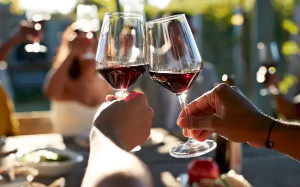 second date ideas with a group at a wine tasting outdoors