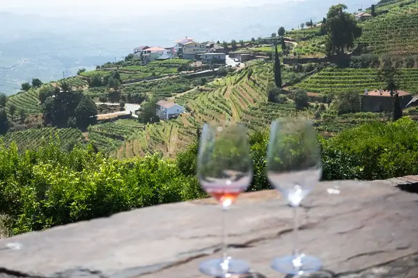 Two wine glasses on a table overlooking a vineyard landscape