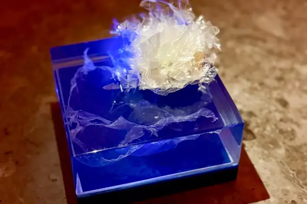 Plastic Fantastic dish from The Alchemist