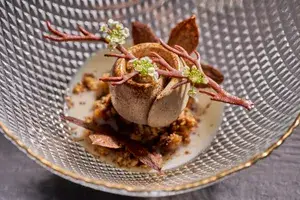 Gourmet plated dessert with an artistic presentation, featuring edible decorations