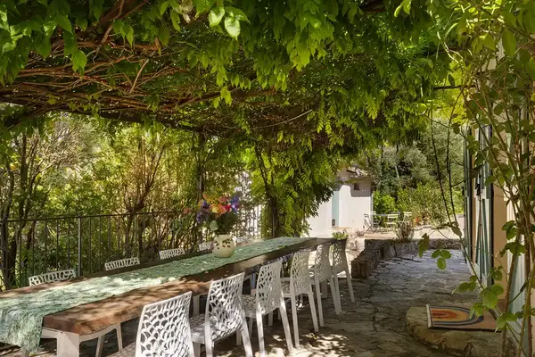 An outdoor dining table covered by a leafy pergola surrounded by white chairs and greenery