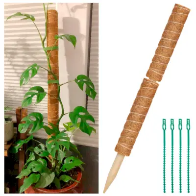 Moss Poles for Climbing Plants, 2 Pcs 12