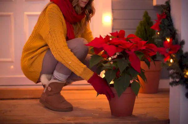 woman outdoors at winter