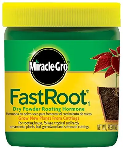 Miracle-Gro FastRoot1 Dry Powder Rooting Hormone 1.25 oz., Houseplant and Succulent Propagation,for Rooting House, Foliage, Tropical, and Hardy Ornamental Plants