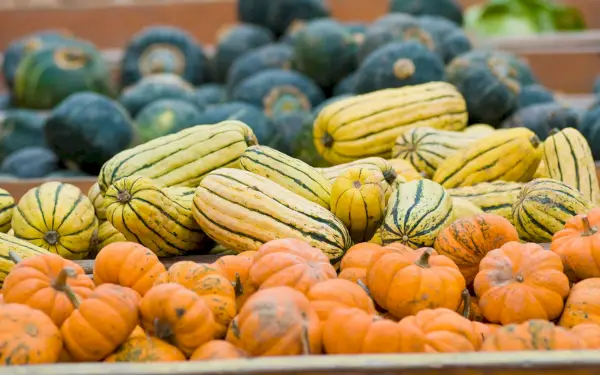 winter squash on the back of a wagon at a farmer