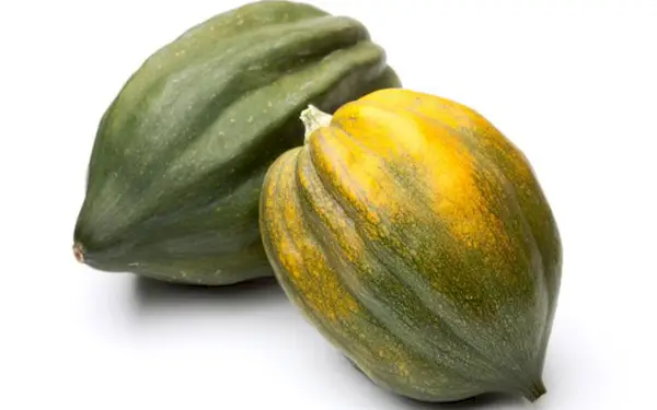acorn squash from types of squash