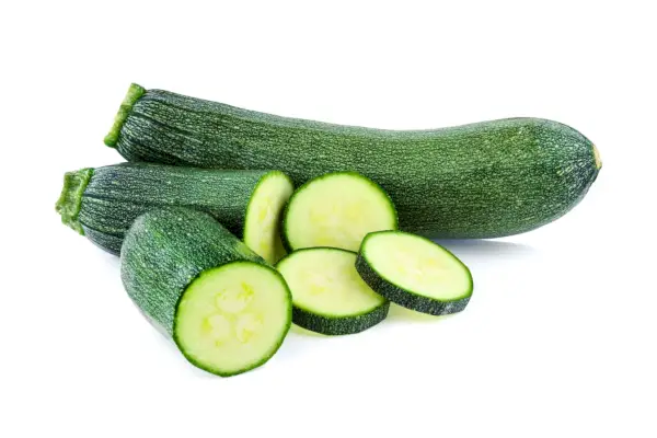Zucchini Squash Types of Squash