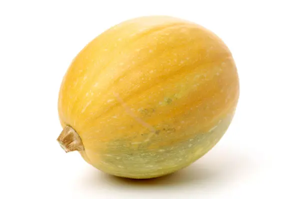 winter squash spaghetti from types of squash