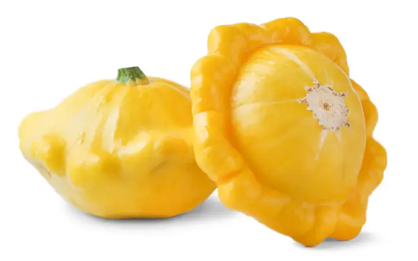 two patty pan squash from types of squash
