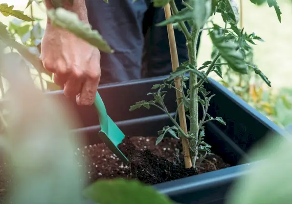 fertilizer numbers with a gardener applying to a planter bed