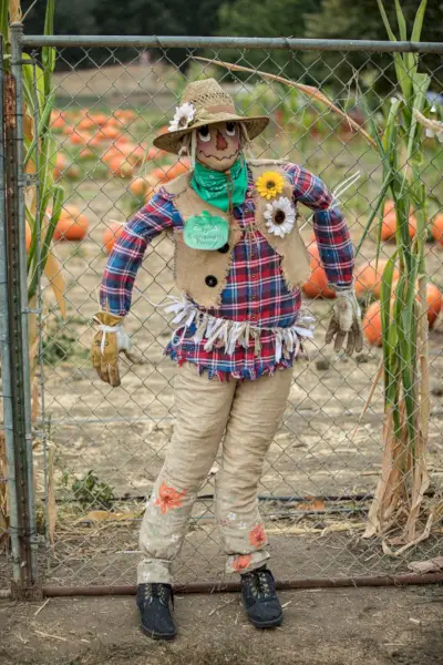how to make a scarecrow