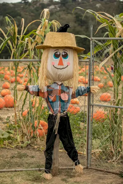 how to make a scarecrow