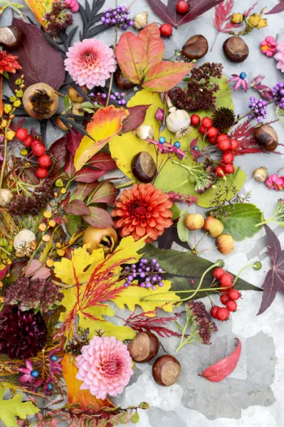 a rich mix of fruit, leaves, and berries