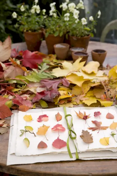 autumn leaves arranged in a scrapbook