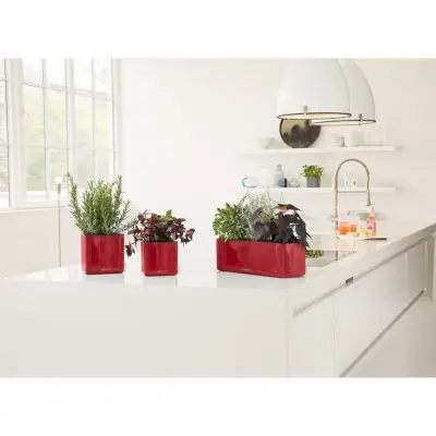 Cube Plastic Self-Watering Plant Pot