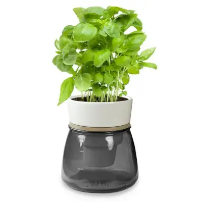 Self Watering Herb Pot