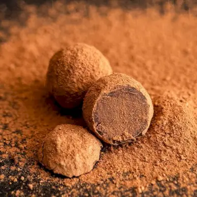 Dark chocolate truffles