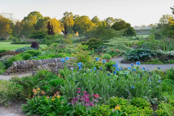 RHS joint membership