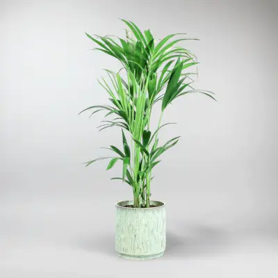 Tidings Scented Candle