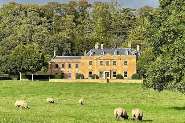 Sheep in the meadow behind The Newt in Somerset 
