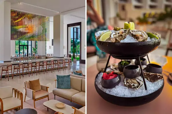 Sophisticated bar area with seating and decorative lighting, seafood platter with oysters presented on ice in a shared dish