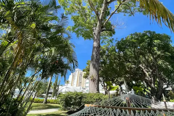 A villa hammock at Fairmont El San Juan