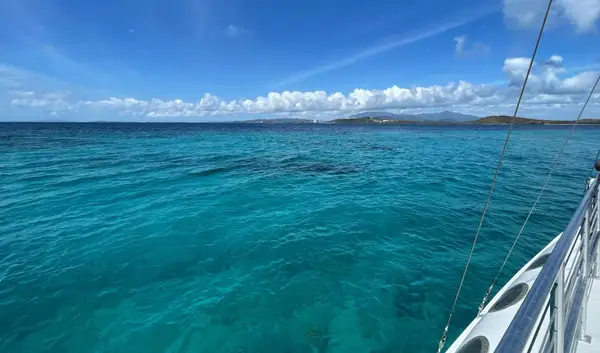 Photo: Courtesy of Annie Archer