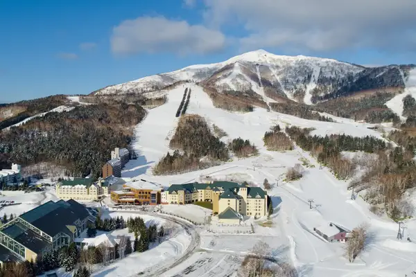 A ski resort with slopes and surrounding buildings located in a snowy mountain area