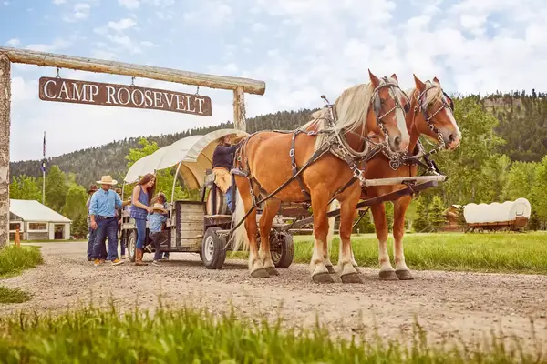 Horse and carriage at Ranch at Rock Creek