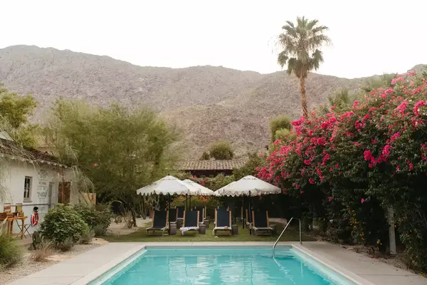 Pool area surrounded by lush plants at Casa Cody