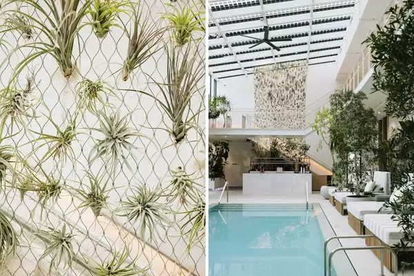 Pair of photos from CASCADA hotel in Oregon, one showing details of air plants and one showing an indoor pool