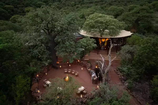 aerial view of outdoor dining space surrounded by green trees