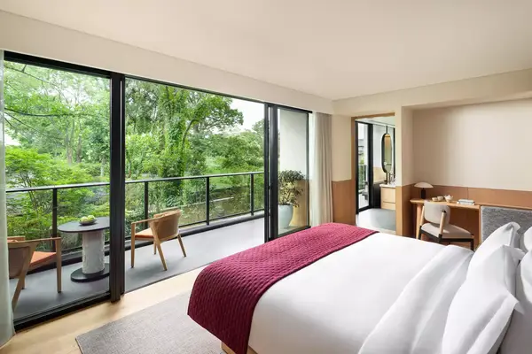 Hotel room with a view of a forest. 
