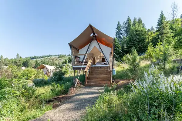 A glamping tent setup amidst lush greenery, part of a luxury outdoor campsite