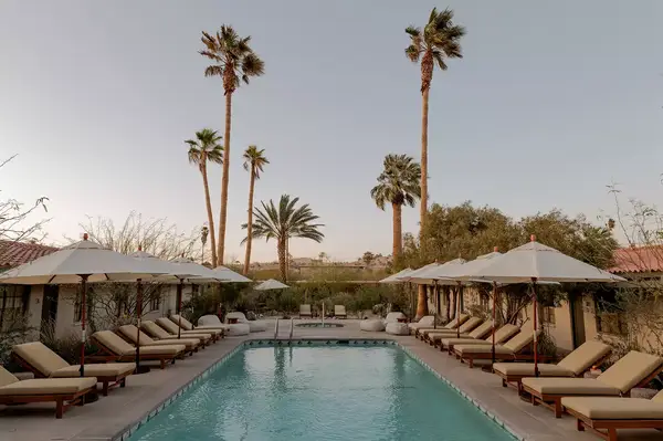 Outdoor pool area surrounded by lounge chairs and palm trees