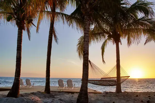Hammock between palm trees on a sandy beach, overlooking the ocean at sunset, with a row of chairs near the water.