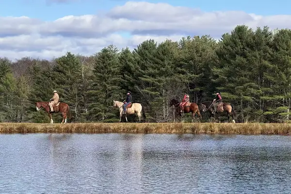 Four horses and riders beside a pond in New York