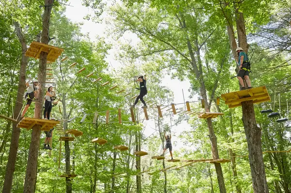People navigating a treetop adventure course in a forest setting