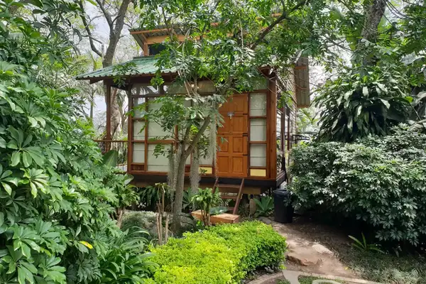 Exterior of the TREE HOUSE in Nelspruit, Mpumalanga, South Africa