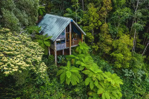 Exterior of the Private Two Bedroom Treehouse in the Rainforest in Butchers Creek, Queensland, Australia