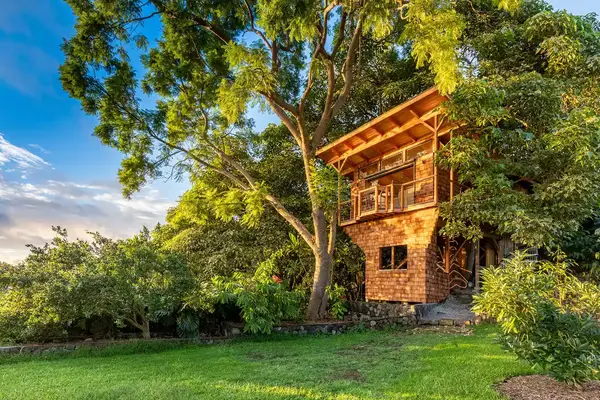 Exterior of the Kona’s 1st Luxury 1 BR/1B Treehouse w/ Ocean View in Kailua-Kona, Hawaii, United States