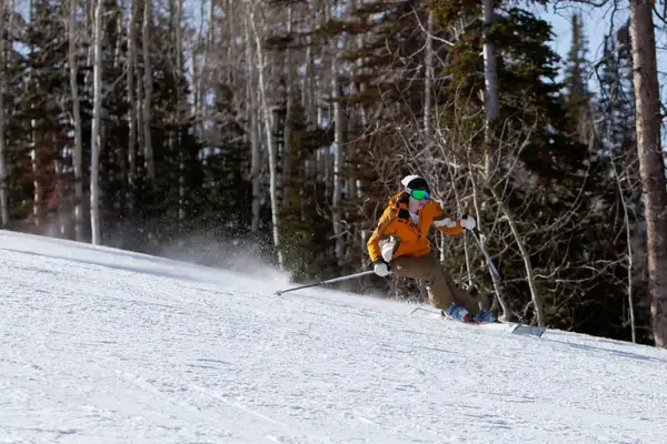 A young woman is skiing fast and carving a turn on skis in Deer Valley Utah.