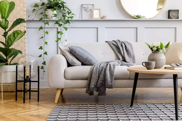 Scandinavian concept of living room interior with design sofa, coffee table and plants