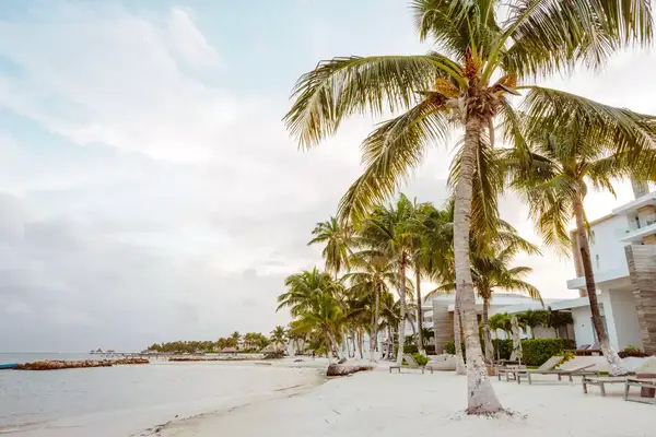 beach at Alaia resort