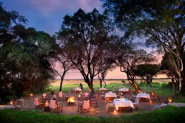 Outdoor dining area under trees with set tables and surrounded by lanterns