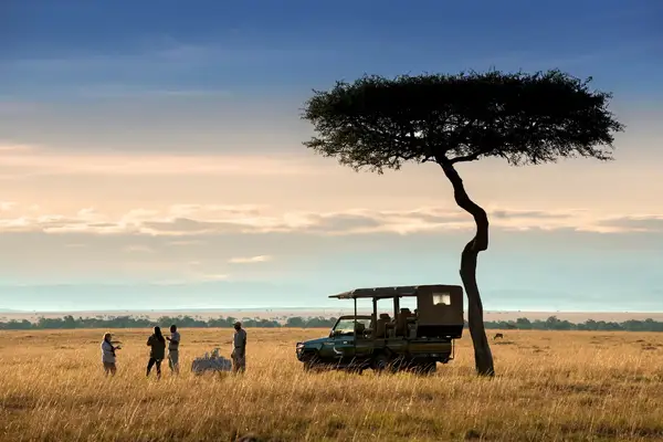 A group of people standing near a safari vehicle on a savanna with a single tree in the scene